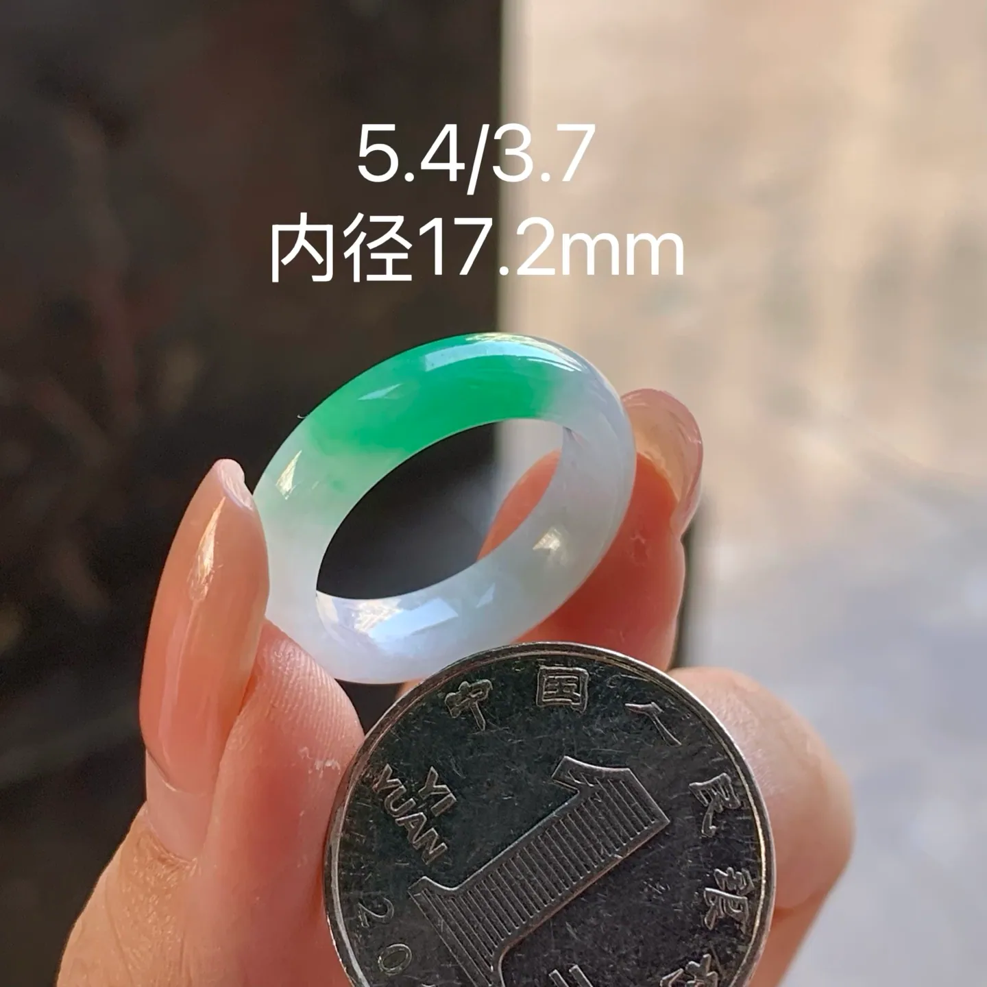 Type A Jadeite Band Ring, White with Bright Green, 17.2mm (7)